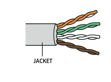 images/image.png